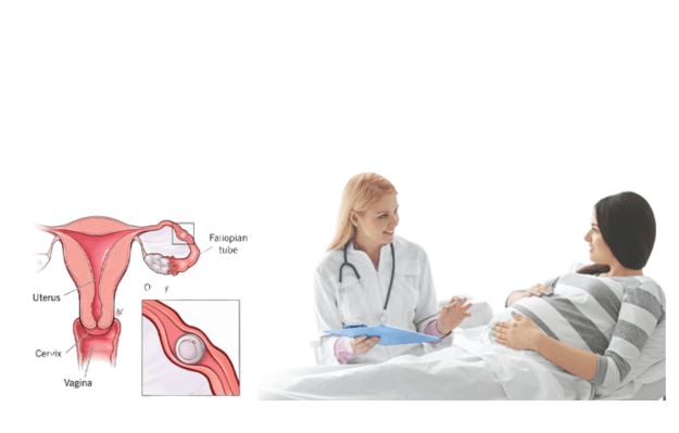 Ectopic Pregnancy Causes Symptoms Diagnosis And Treatments Healthnpro 8558